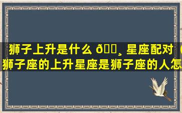 狮子上升是什么 🌸 星座配对（狮子座的上升星座是狮子座的人怎么样）